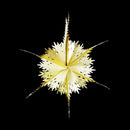 A decorative star-shaped hanging ornament made from layered, laser-cut paper in pale yellow and cream, shown against a solid black background.