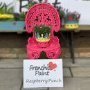 Frenchic Al Fresco Limited Edition Raspberry Punch 500ml Chalk and Mineral Furniture Paint