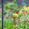 Smart Garden Flamboya Bee Seed Feeder
