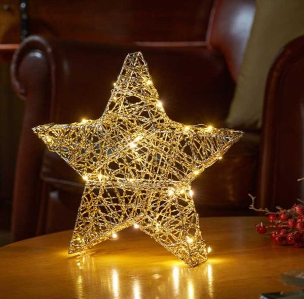 Smart Garden Gold Weave WonderStarlet! 20cm