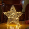 Smart Garden Gold Weave WonderStarlet! 20cm