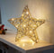 Smart Garden Gold Weave WonderStarlet! 30cm