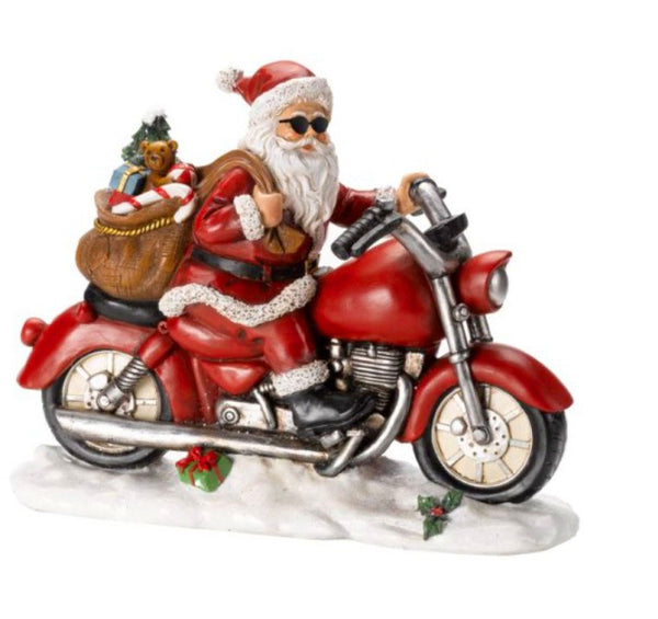 Smart Garden Santa Rider