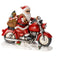 Smart Garden Santa Rider