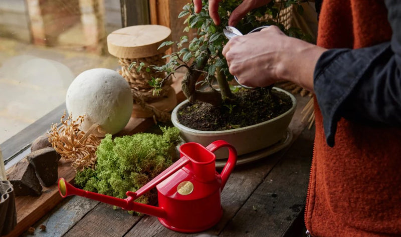 Haws The Langley Sprinkler Red Watering Can 1 Pint