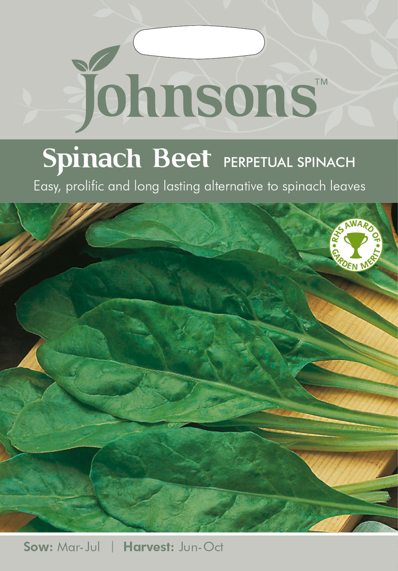 Johnsons 121000 Beta vulgaris - Spinach Beet Perpetual Spinach