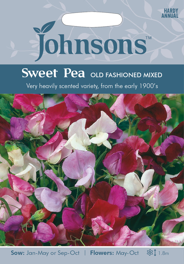 Johnsons 121004 Lathyrus odoratus Sweet Pea Old Fashioned Mixed