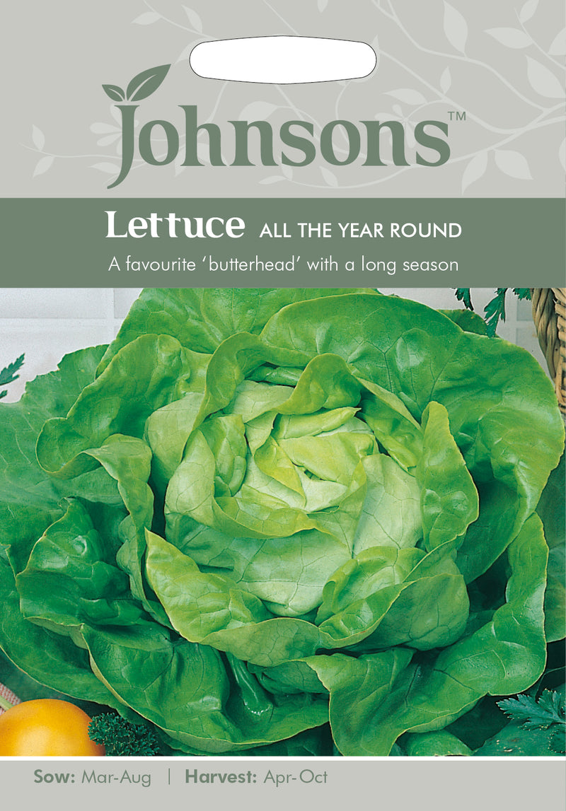 Johnsons 121005 Lactuca sativa - Lettuce All The Year Round