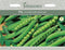 Johnsons 121009 Pisum sativum - Pea Hurst Green Shaft
