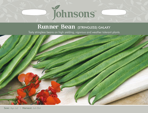 Johnsons 121023 Phaseolus coccineus - Runner Bean Galaxy (Stringless)