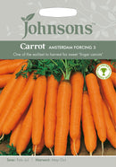 Johnsons 121025 Daucus carota - Carrot Amsterdam forcing 3