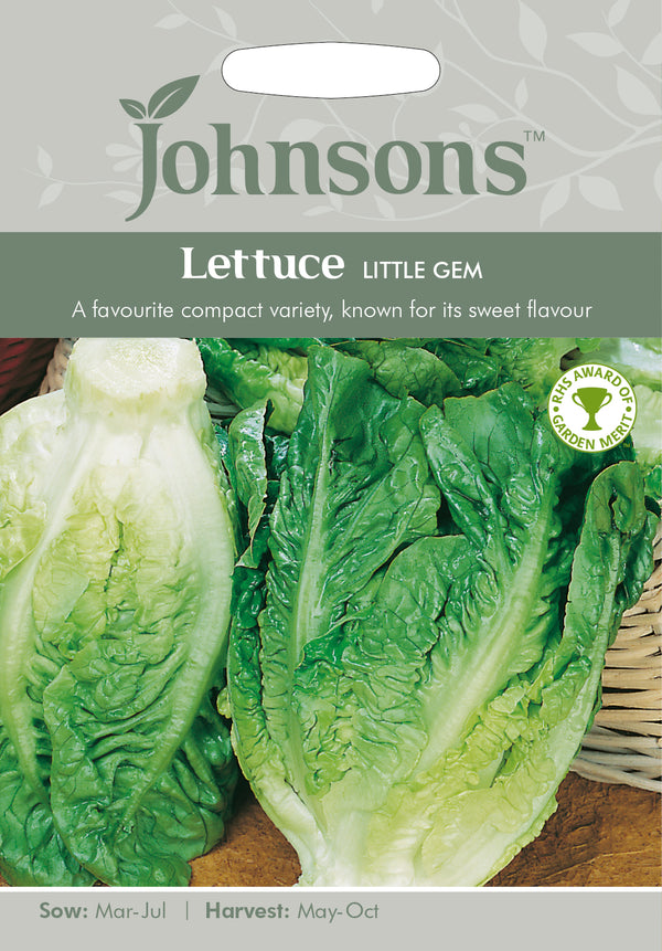 Johnsons 121042 Lactuca sativa - Lettuce Little Gem