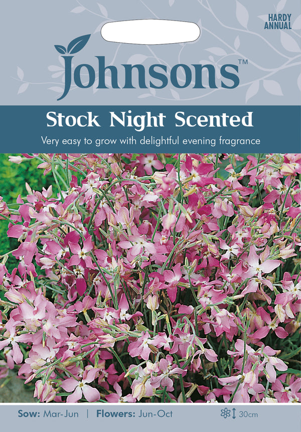 Johnsons Seeds Matthiola longipetala - Stock Night Scented - Night Scented Stock
