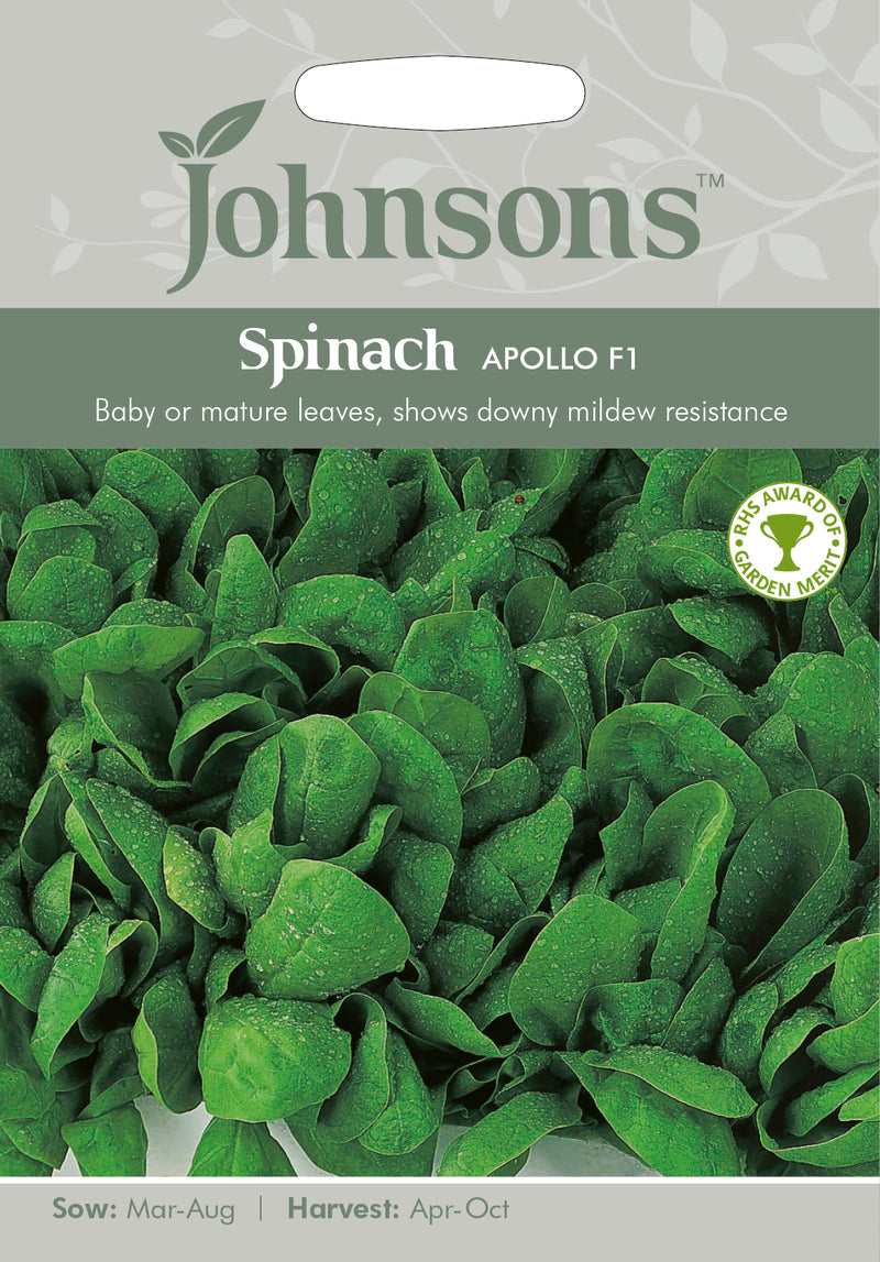 Johnsons Seeds Spinach Apollo F1