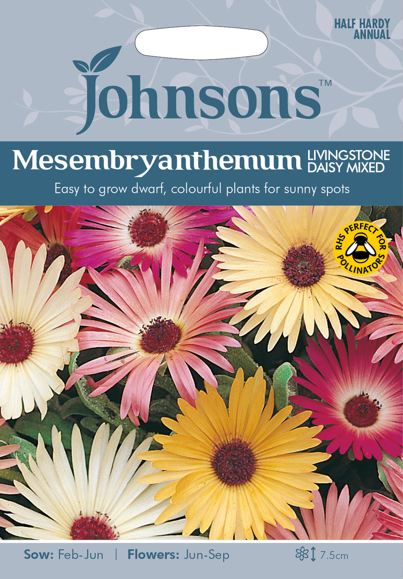 Johnsons Seeds Dorotheanthus bellidiformis - Mesembryanthemum Livingstone Daisy Mixed