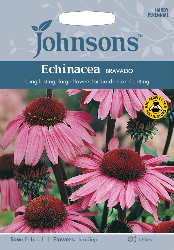 Johnsons Seeds Echinacea purpurea - Echinacea Bravado