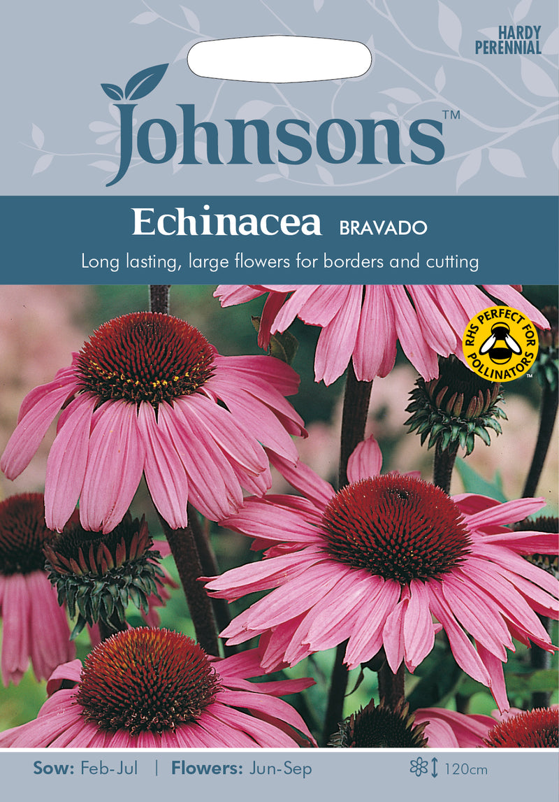 Johnsons Seeds Echinacea purpurea - Echinacea Bravado