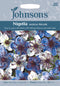 Johnsons Seeds Nigella papillosa - Nigella Musical Prelude