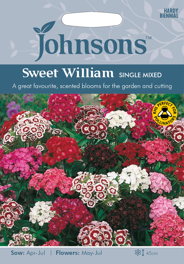 Johnsons Seeds Dianthus barbatus - Sweet William Single Mixed