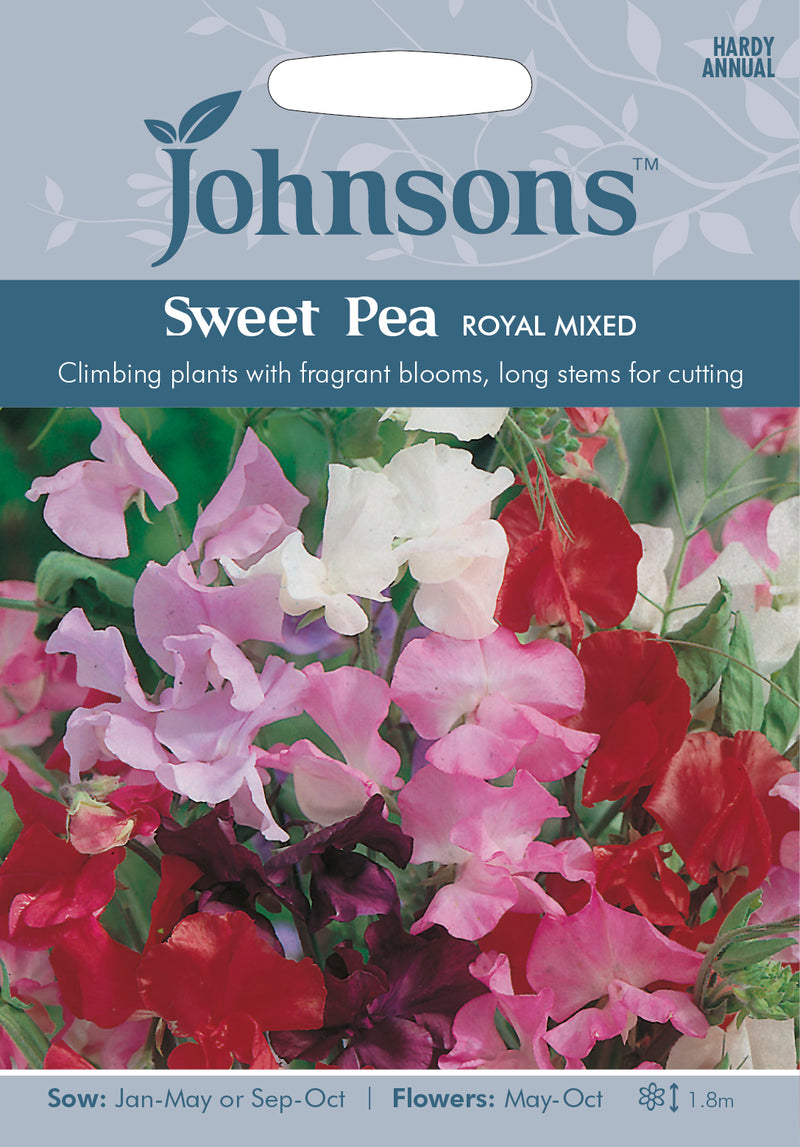 Johnsons 121160 Lathyrus odoratus - Sweet Pea Royal Mixed