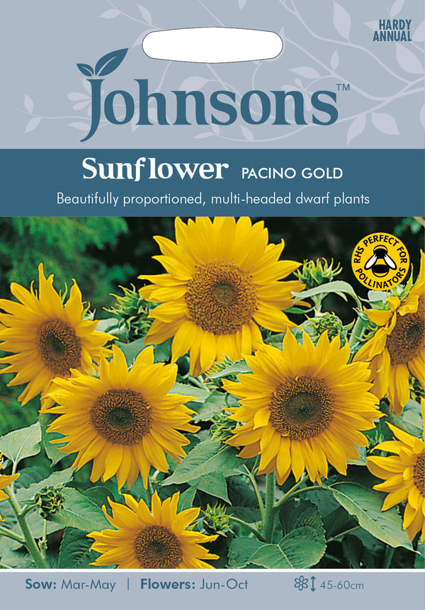 Johnsons 121169 Helianthus annuus - Sunflower Pacino Gold