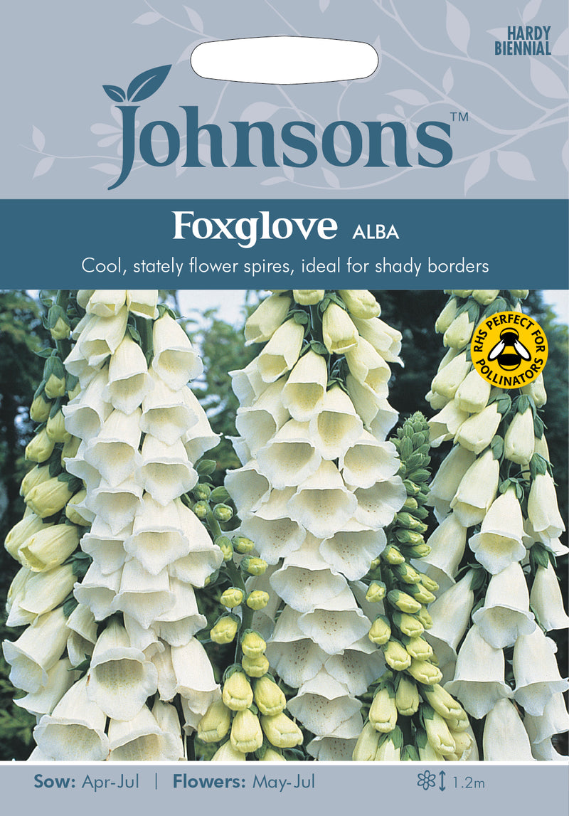 Johnsons Seeds Digitalis purpurea -  Foxglove Alba