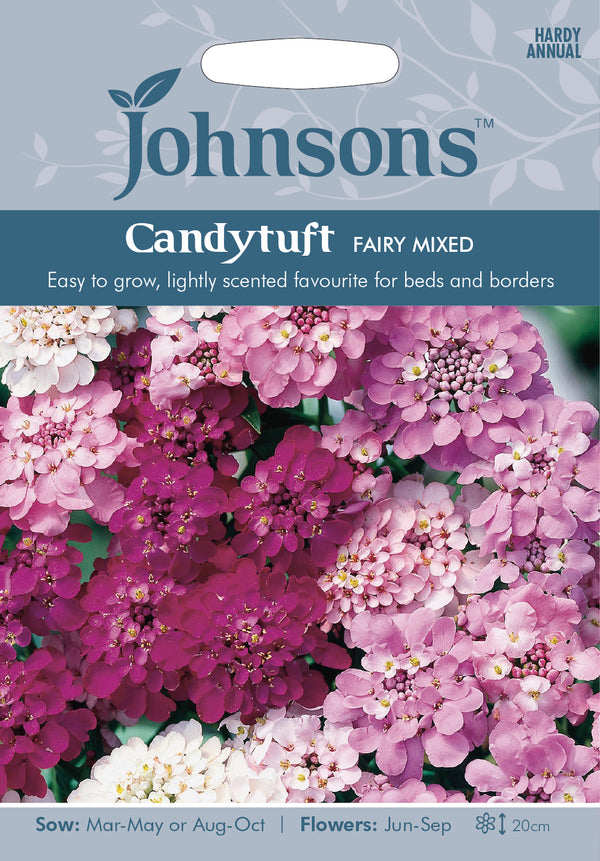 Johnsons Seeds Iberis umbellata - Candytuft Fairy Mixed