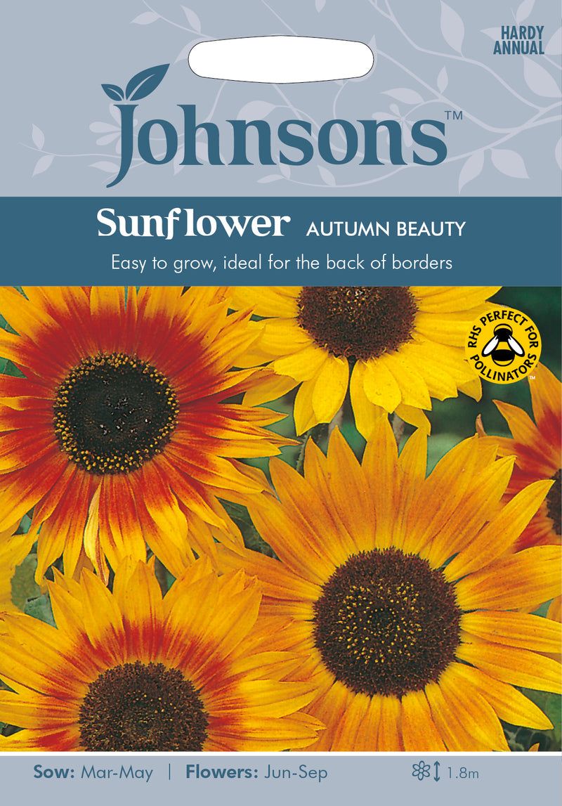 Johnsons Helianthus annuus - Sunflower Autumn Beauty