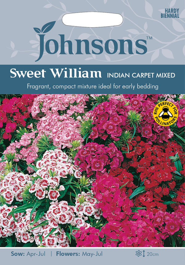 Johnsons Seeds Dianthus barbatus - Sweet William Indian Carpet Mixed