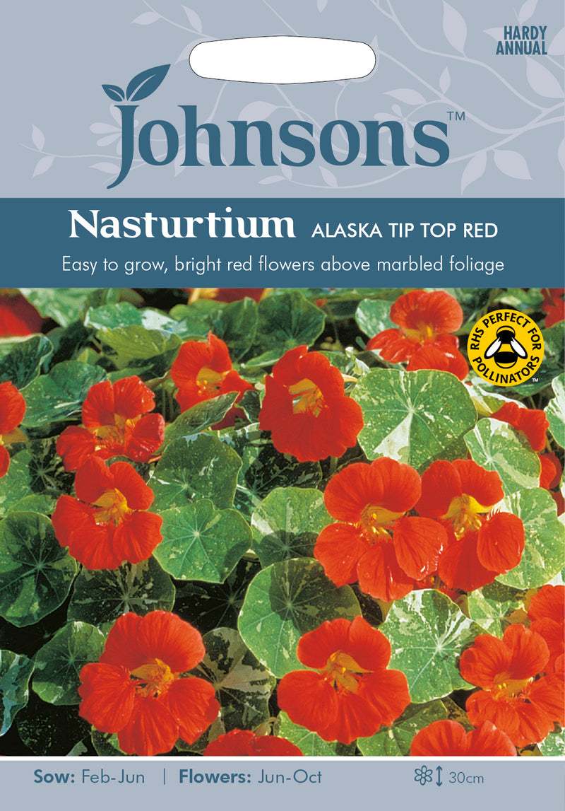 Johnsons Seeds Tropaeolum majus - Nasturtium Alaska Tip Top Red