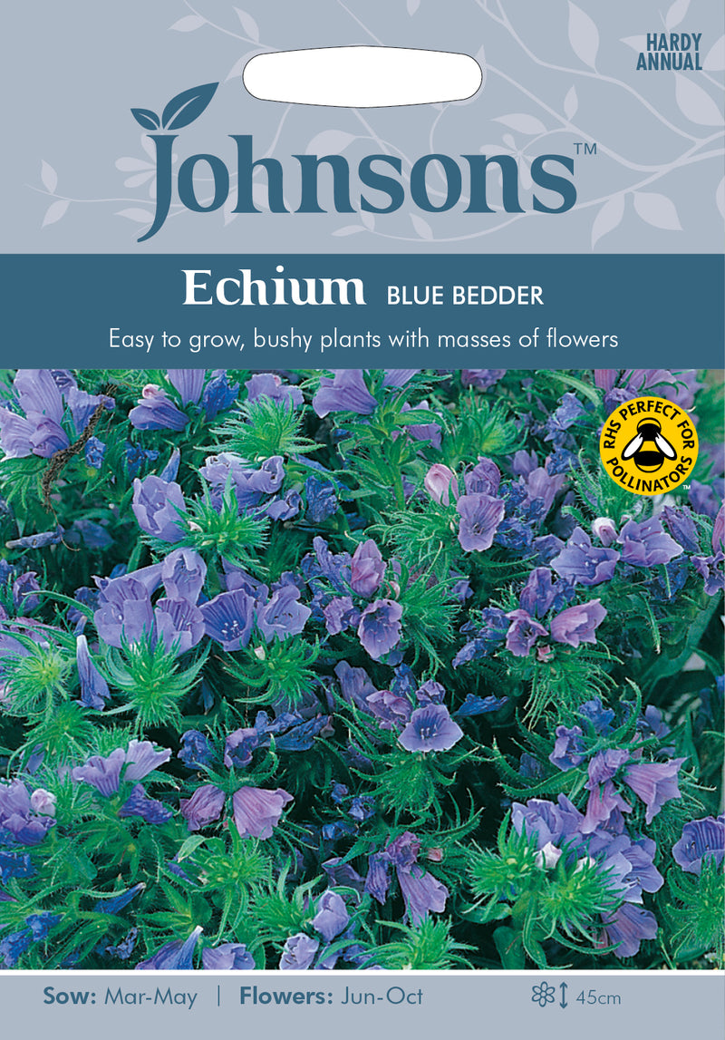 Johnsons Seeds Echium vulgare - Echium Blue Bedder