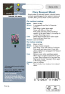 Johnsons Seeds Salvia hormonium - Clary Bouquet Mixed