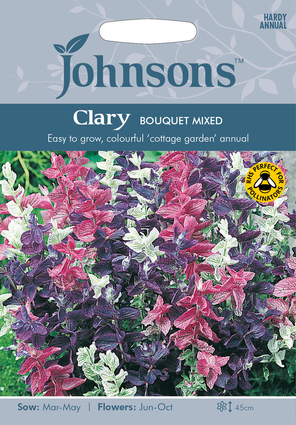 Johnsons Seeds Salvia hormonium - Clary Bouquet Mixed