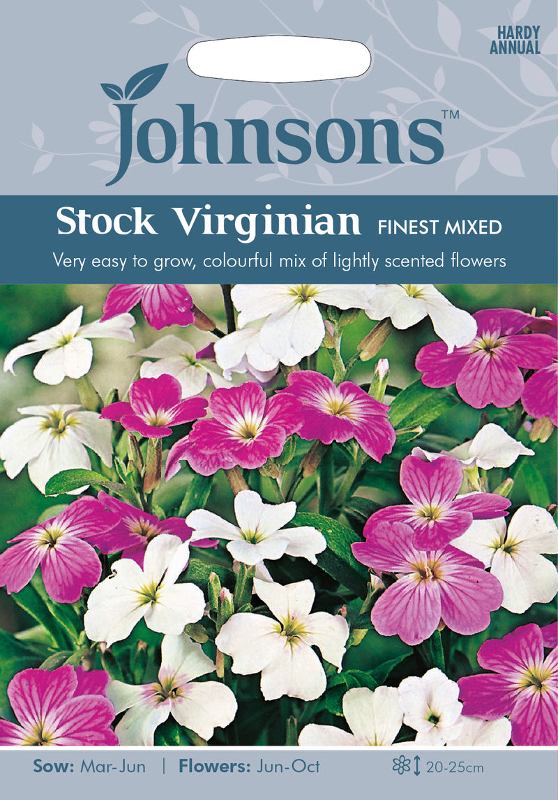 Johnsons Seeds Malcolmia maritima - Stock Virginian Finest Mixed - Virginia Stock