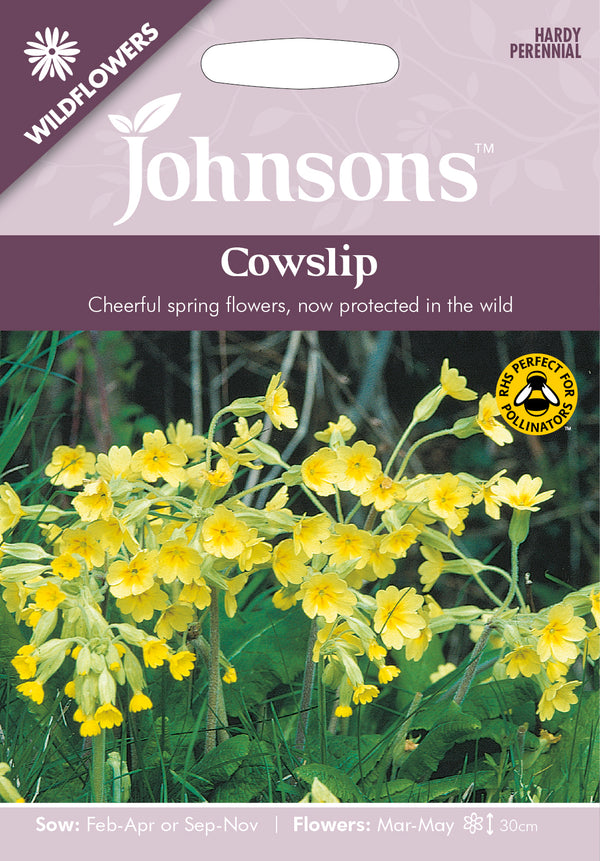 Johnsons Seeds Primula veris - Wildflower Cowslip