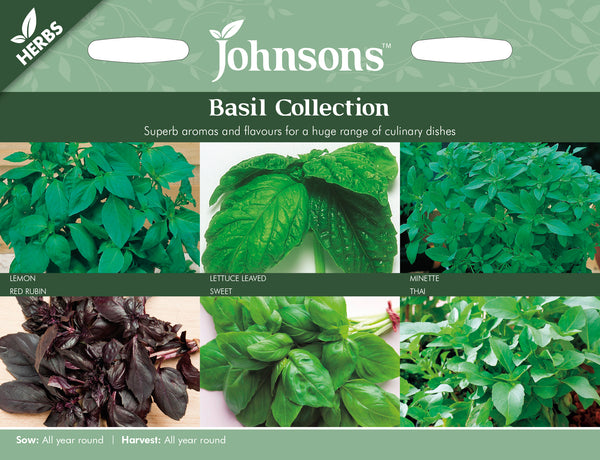 Johnsons Seeds Herb Basil Collection