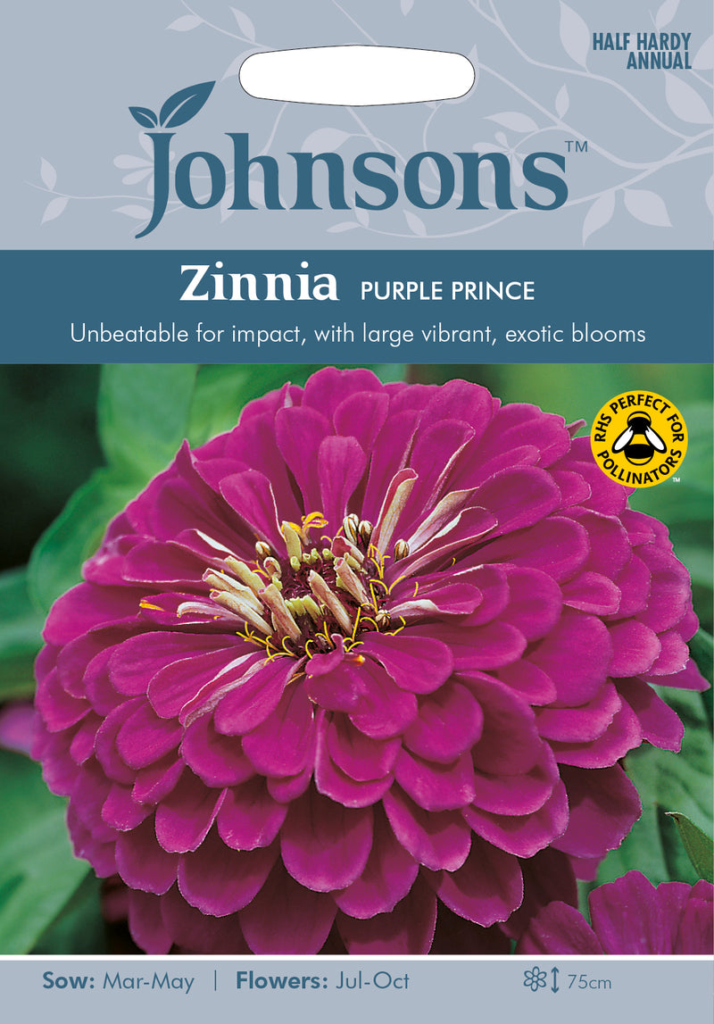 Johnsons Seeds Zinnia elegans - Zinnia Purple Prince
