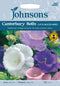 Johnsons Seeds Campanula medium - Canterbury Bells Cup and Saucer Mixed