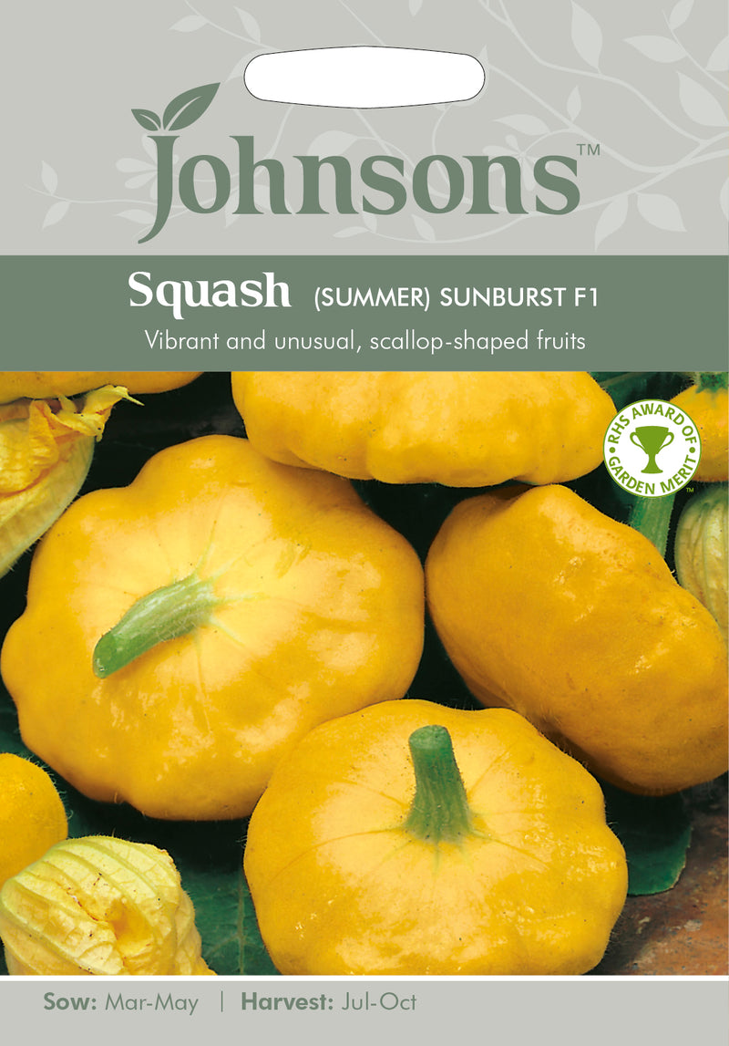 Johnsons Seeds Cucurbita pepo - Squash (Summer) Sunburst F1
