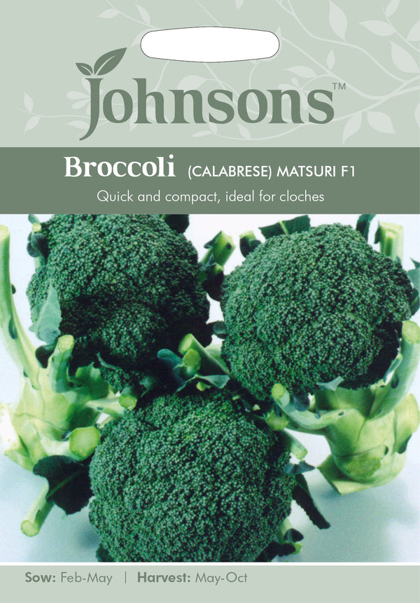 Johnsons Seeds Brassica oleracea - Broccoli (Calabrese) Matsuri F1