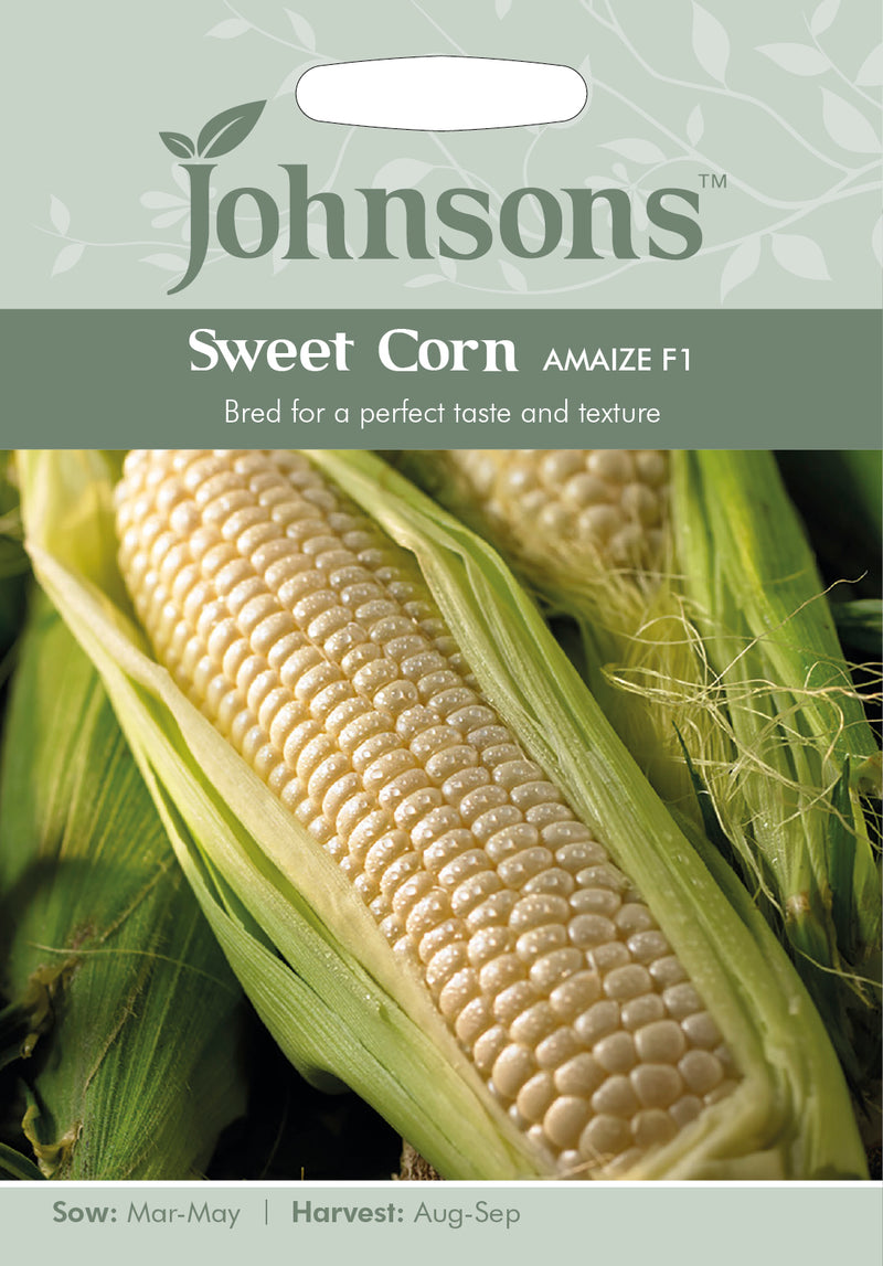 Johnsons Seeds Zea mays - Sweet Corn Amaize F1