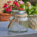 Smart Garden Firefly Glass Jar Solar Light
