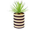 Premier Artificial Succulent Stripe Pot PT193020