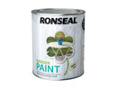 Ronseal Garden Paint White Ash 750ml 37402