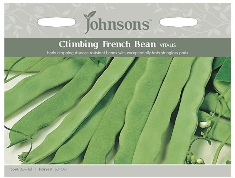 Johnsons Seeds Phaseolus vulgaris - Climbing French Bean Vitalis