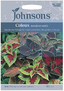 Johnsons Seeds Coleus Rainbow Mixed