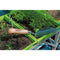 Draper Heritage Stainless Steel Transplanting Trowel With Ash Handle 99022
