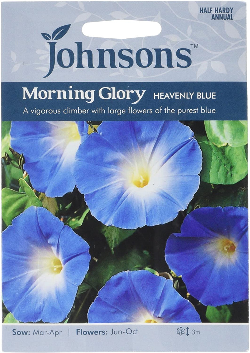 Johnsons 121122 Ipomoea tricolor - Morning Glory Heavenly Blue