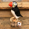Primus RSPB Hand Carved Wooden Puffin RSPB0202