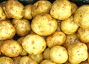 Seed Potatoes 'Rocket' 2KG